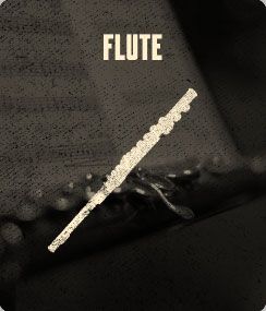 Private Flute Lessons