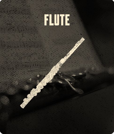 Private Flute Lessons